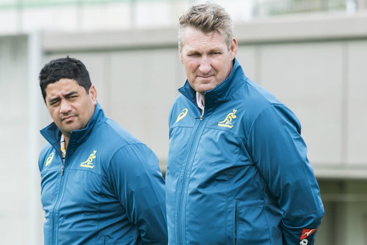 Harrison hired as new head of Classic Wallabies 