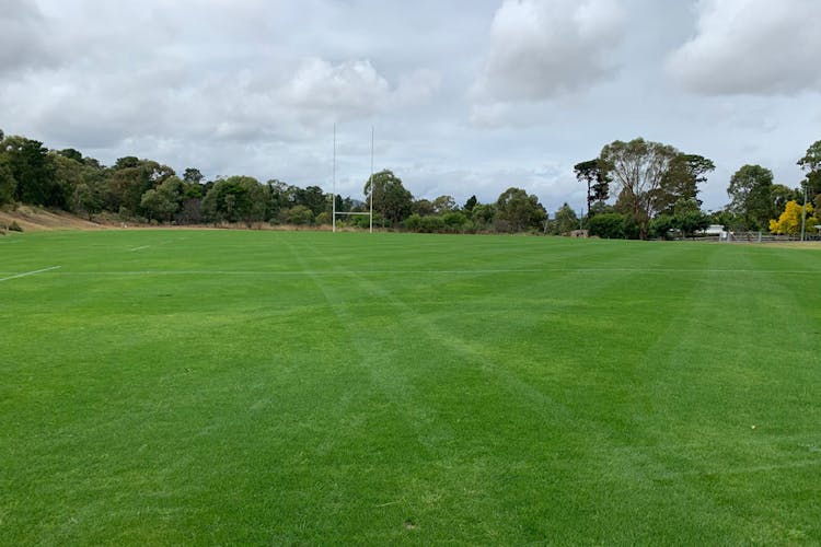 Goulburn Rugby Club to celebrate the opening of "Klem Oval", Saturday March 12th